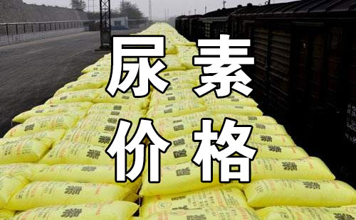 Jackpot(�й���)�ٷ���վ