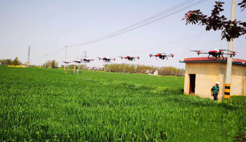 ҹ��ˮ��ֱ��������ֲ��